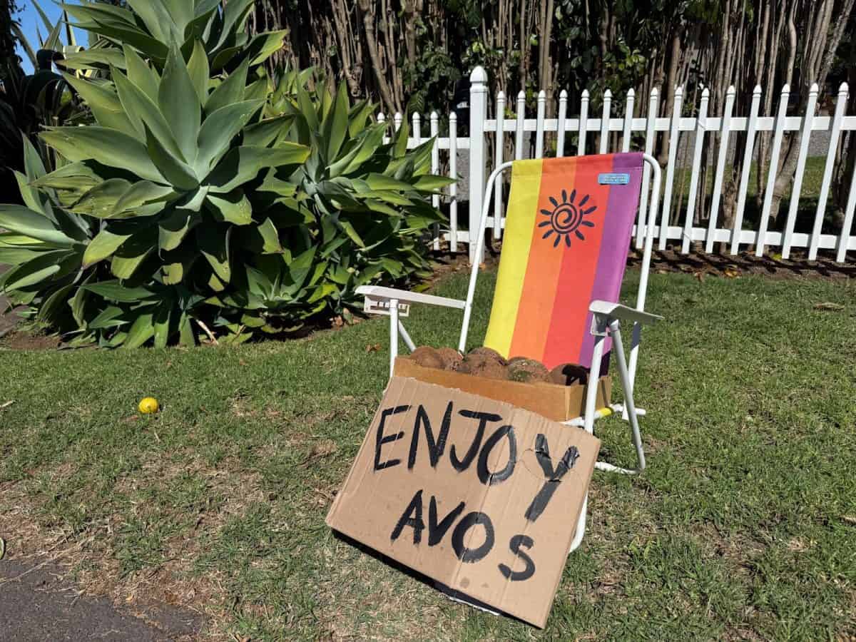 outdoor chair with handwritten sign on cardboard-enjoy avos